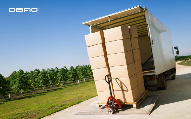 chở cồng kềnh phạt bao nhiêu